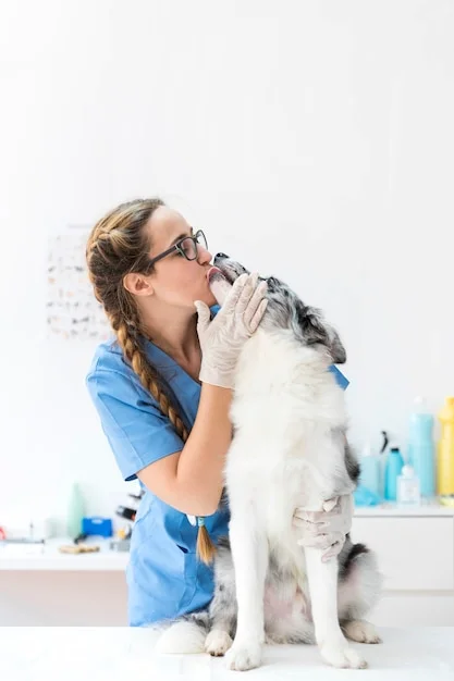 clínica veterinária zona sul