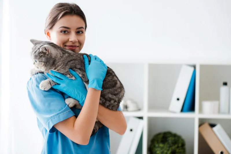 especialidades veterinárias
