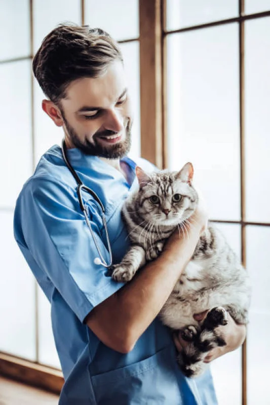 neurologistas veterinarios