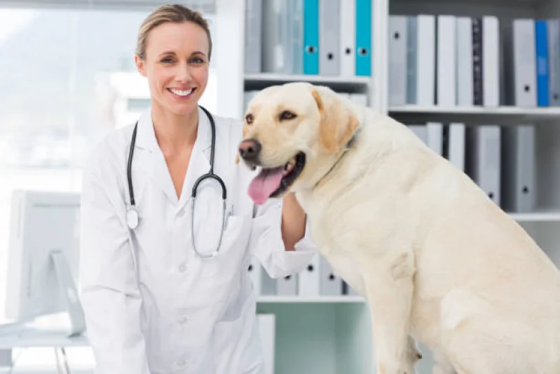 odontologia veterinária